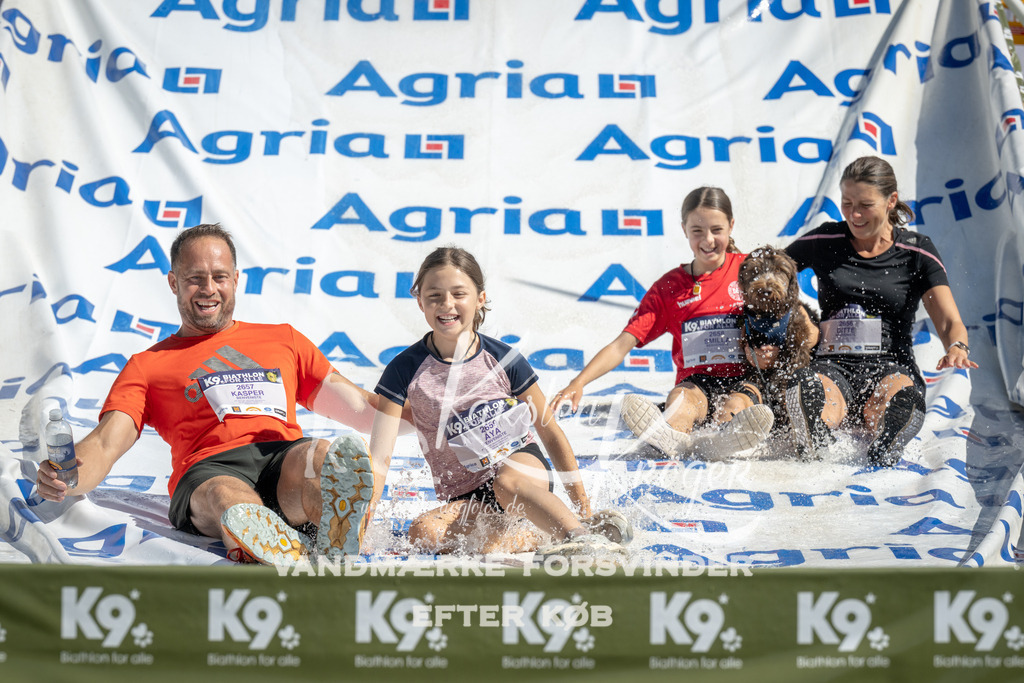 1147_ZZ94056 | kk-dogfotos