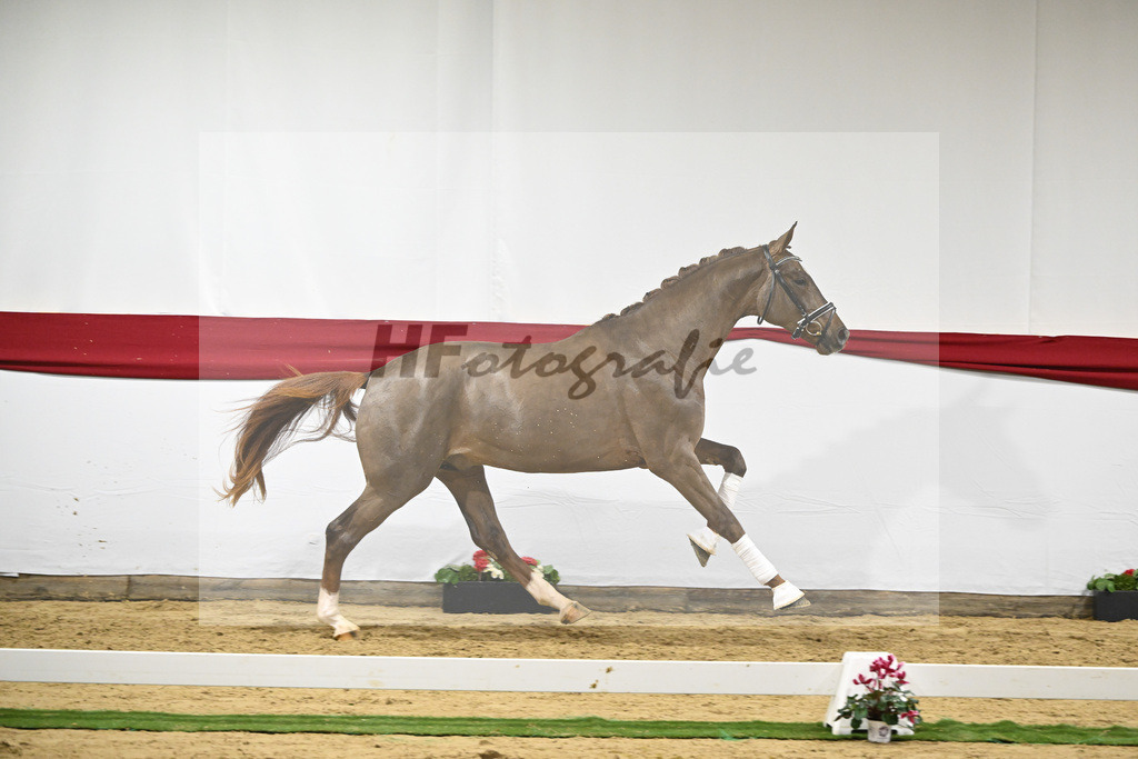 Kat-Nr. 56 v. Feinrich_Fink_63221704 | hf-fotografie - Realizzato con Pictrs.com