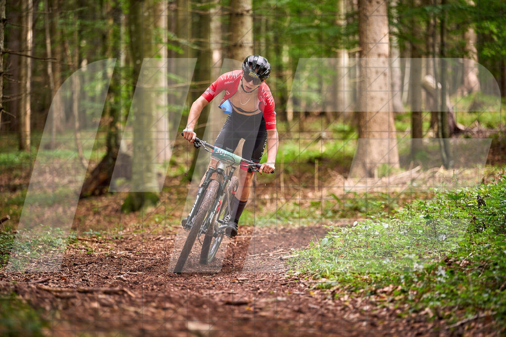 Betriebszentrum Laubenbachmühle, Frankenfels, Österreich - 13. September 2025: Dirndltal Race - Fun und Trophy RaceFotograf: Martin Bihounek / martinbihounek.com | 13. September 2025 Betriebszentrum Laubenbachmühle, Frankenfels, Österreich : Dirndltal Race - Fun und Trophy Race •••••Photo by: Martin Bihounek / martinbihounek.comInsta: @martinbihounekcom