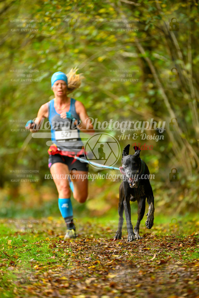 MompixPhotography_20TSB_E1_Run-20 | PayLife