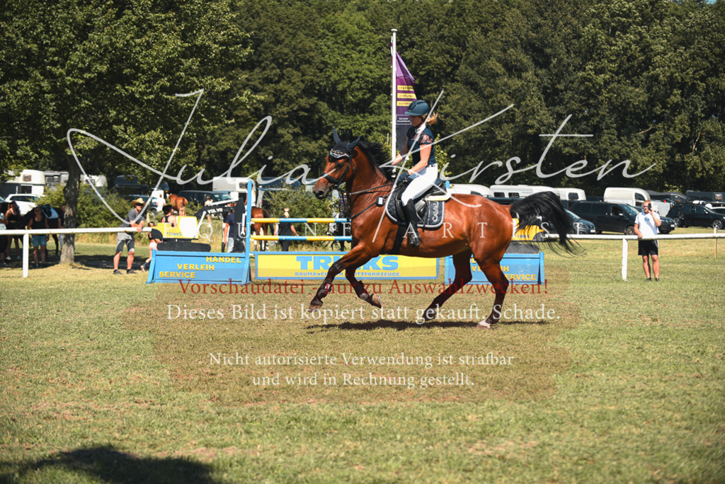 DSC_7043 | Pferde- und Turnierfotografie in Westsachsen. Pferdeportraits, Auftragszeichnungen und intuitive Kunst.