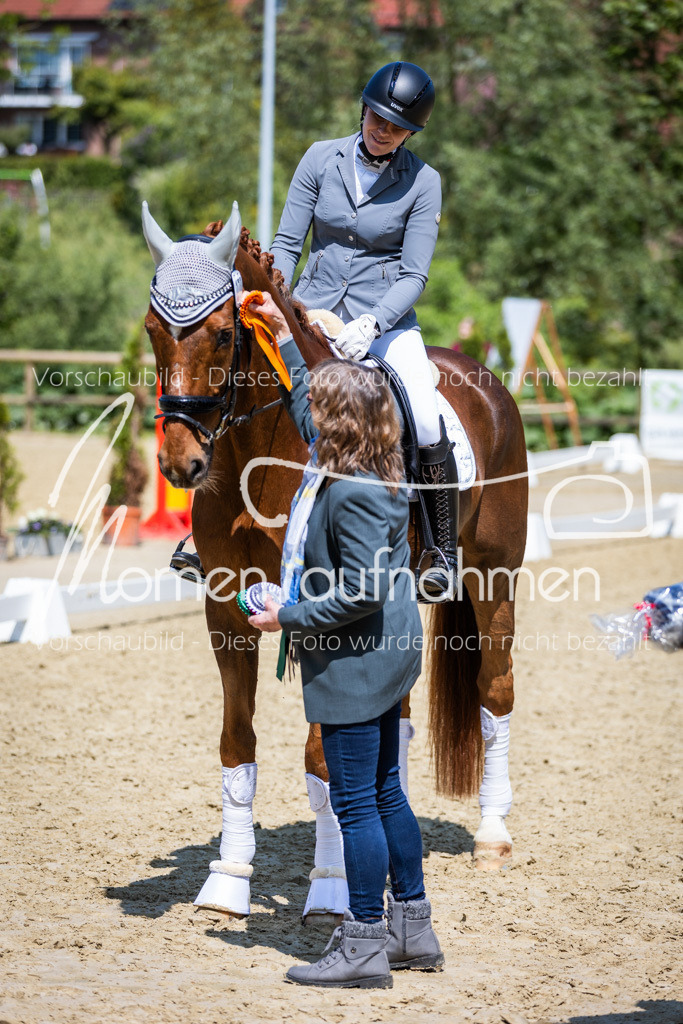 Donop24-L-Dre-119 | MomenTaufnahmen Pferdesportfotos