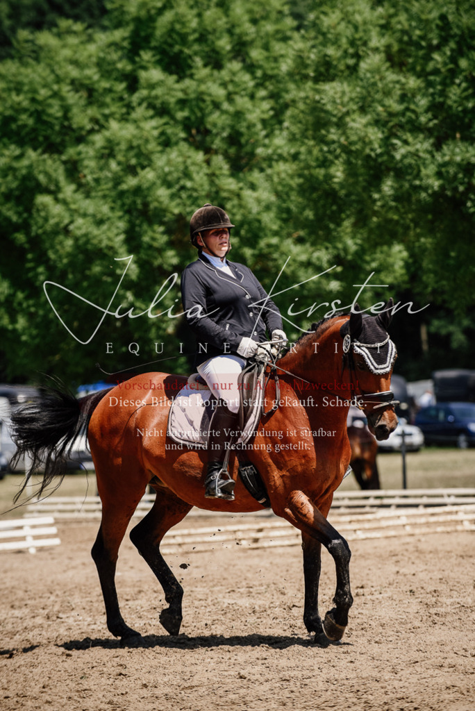 DSC_1999 | Pferde- und Turnierfotografie in Westsachsen. Pferdeportraits, Auftragszeichnungen und intuitive Kunst.