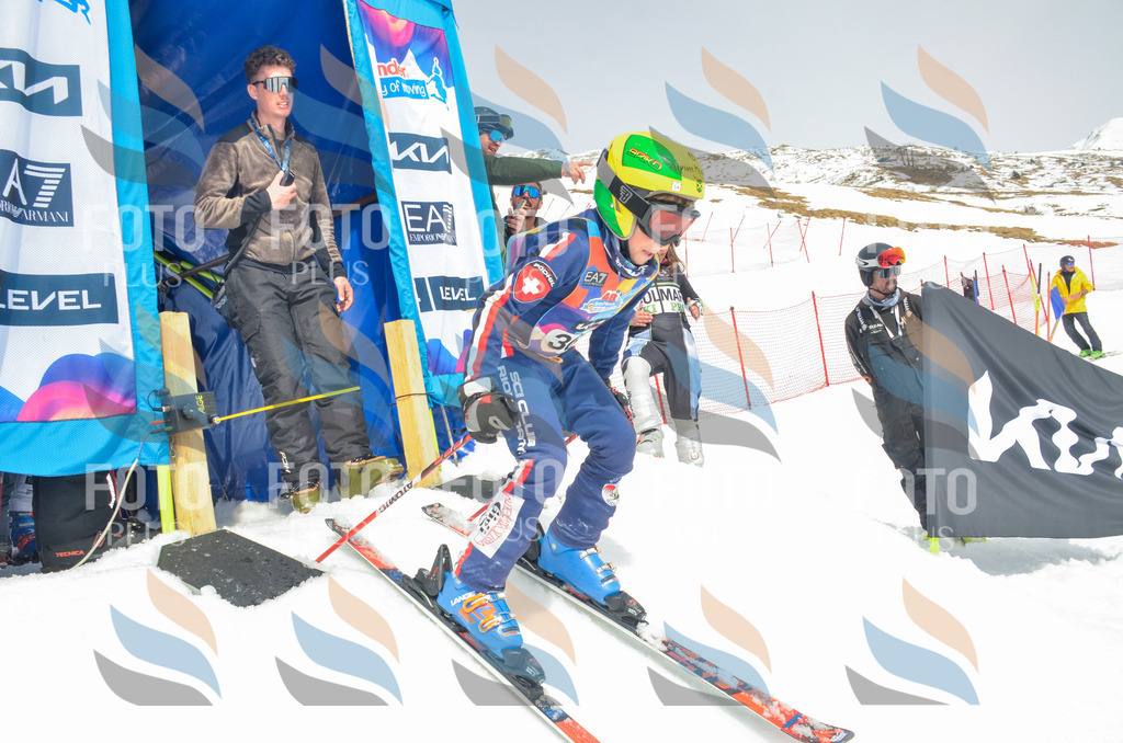 _ELE8281 | holidayphoto