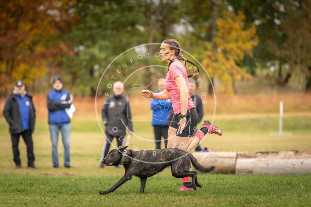 Pfotenfotografie_DV3A6421 | Hundefotografie, Tierfotograf, Pfotenfotografie, Fotoshooting Hund, Hunde Portrait, Hundesport, Hundeportraits, Heideshooting, Hunde, Sportfotograf, Hundefotograf, Turnierhundsport, THS,  - Realisiert mit Pictrs.com