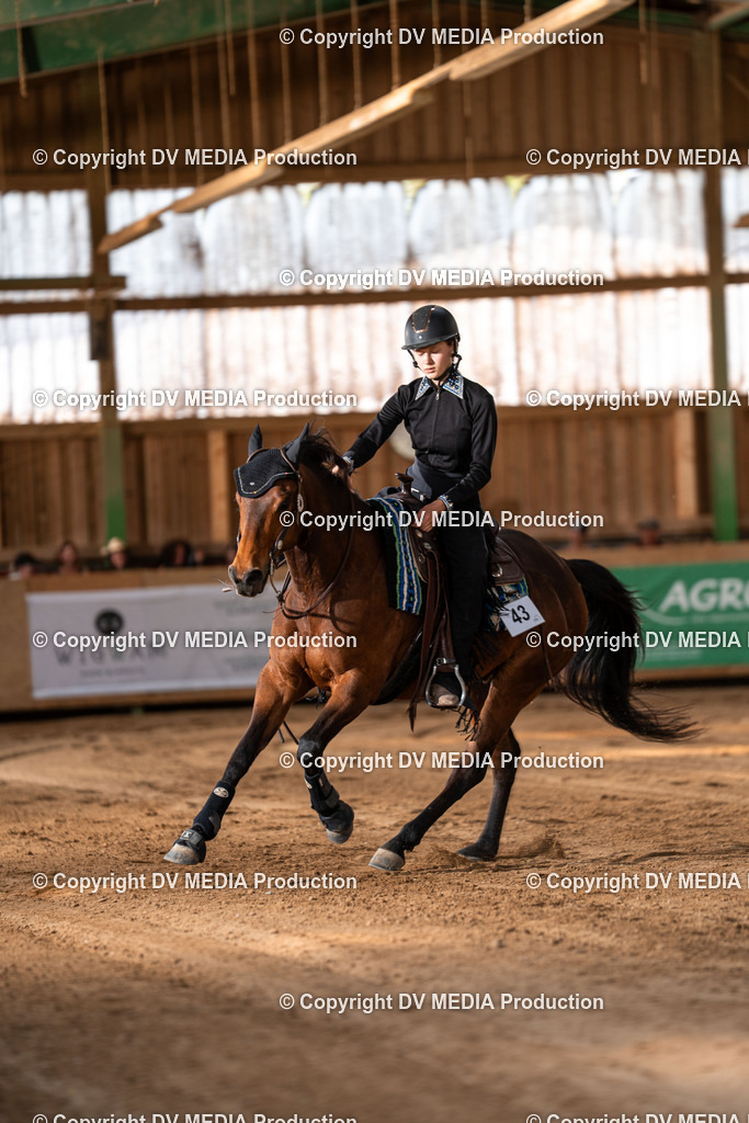 Balingen Tag 2-1279 | dv-media-shop - Realisiert mit Pictrs.com