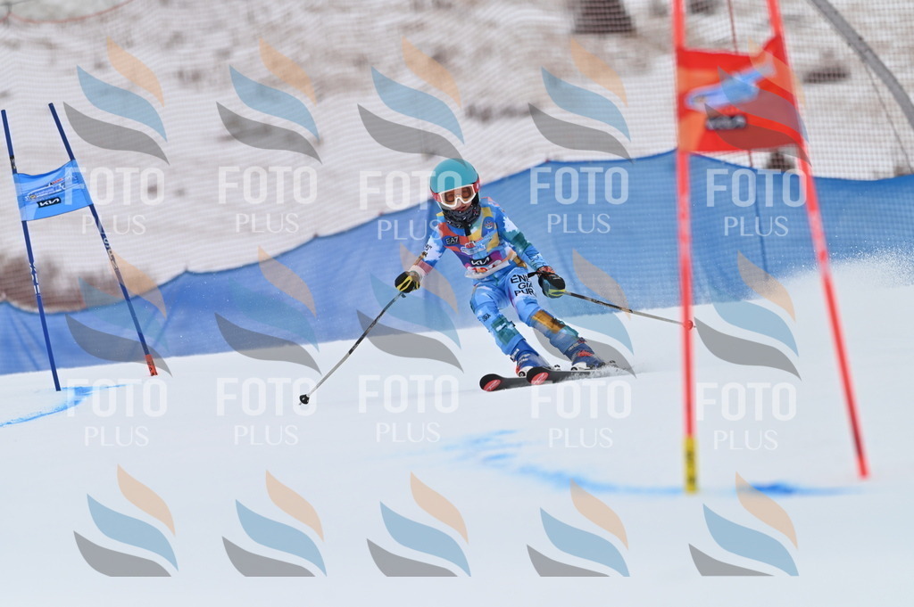 BGV_1036 | holidayphoto