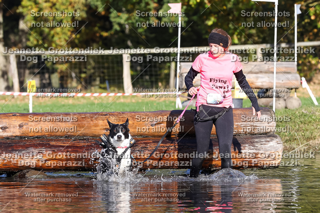 Dog Paparazzi - Strongdog 10-25-8817 | Dog Paparazzi Jeanette Grottendiek Fotografie & Videografie - Realisiert mit Pictrs.com