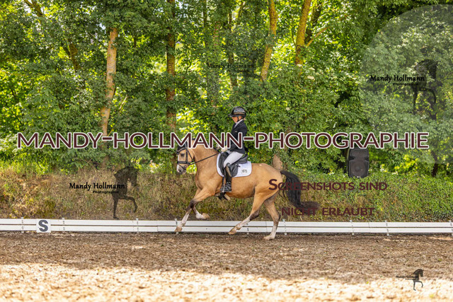 RPF 4 Filsum (490 von 535) | mandyhollmannphotographie
