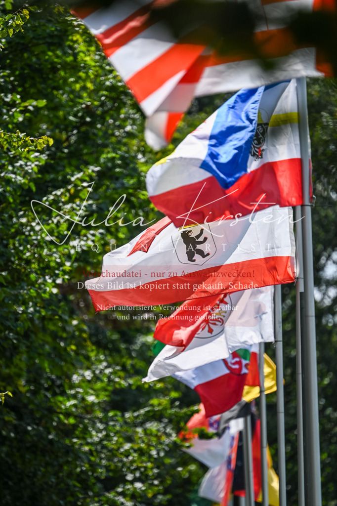 DSC_2753 | Pferde- und Turnierfotografie in Westsachsen. Pferdeportraits, Auftragszeichnungen und intuitive Kunst.