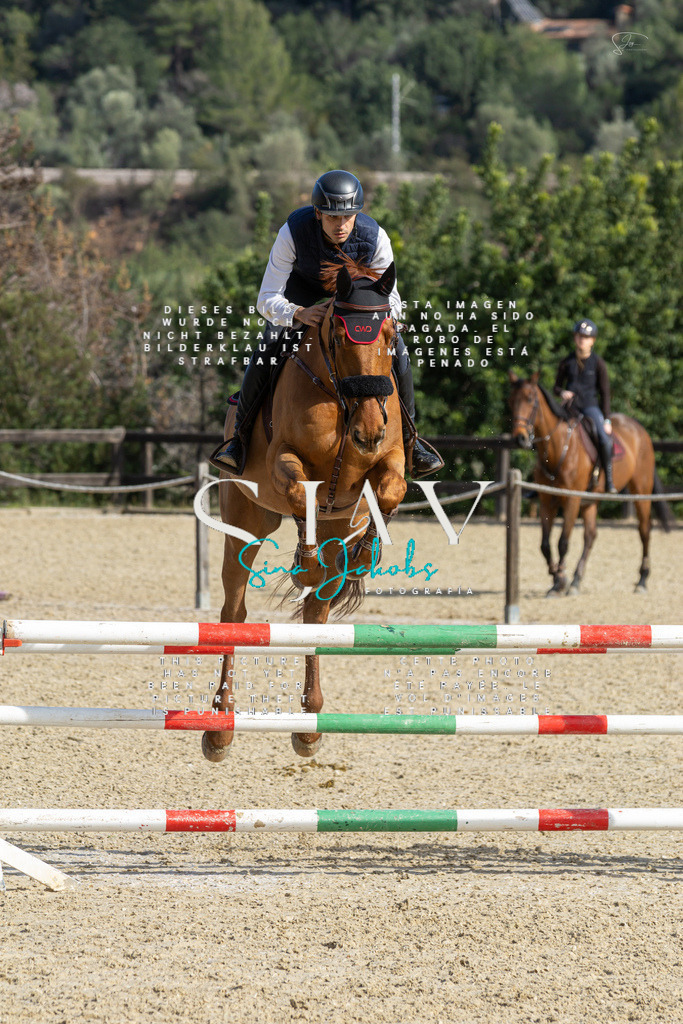 IMG_4438 | s-jay-photography - Realisiert mit Pictrs.com