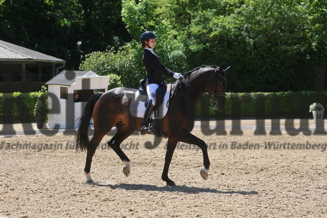 Böblingen_2025_Prfg.Nr.08_Dressurprüfung_Kl.M_Nürnberger Burgpokal_Thyra Marie Eggers_Zaphir 14 (7) | Alle Fotos der Reiterjournal Fotografin Doris Matthaes im Reiterjournal Online-Fotoshop. - Realisiert mit Pictrs.com
