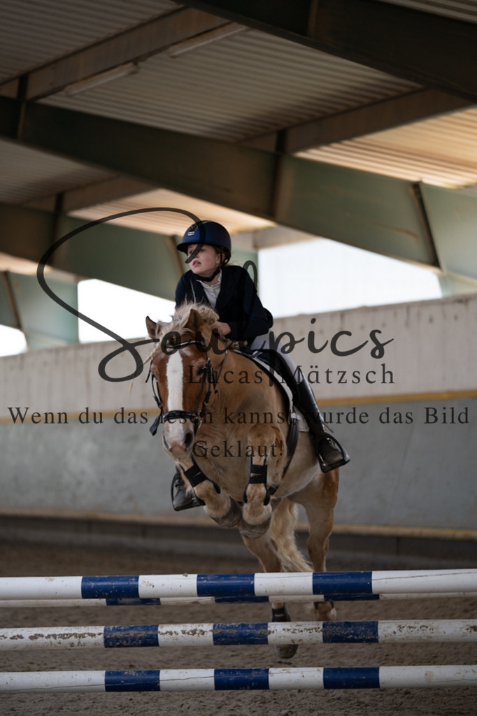 A7V06694 | Pferdefotograf