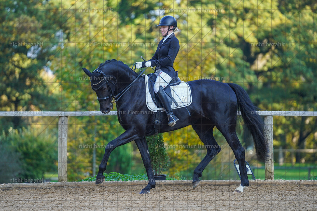 20221007-FAH00266 | Diessen am Ammersee, 2022, Dressur- und Springturnier, Reitsportbilder, Turnierfotografen Bayern, Pferdefotografen, Fotoagentur Herrmann, Turnierbilder