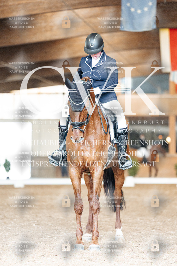 CK901705 | Turnierfotografie Pferdefotografie Trier Rheinland-Pfalz Pferdesport Reitsport Tierfotografie Sportfotografie Pferdevideo Pferdevideografie Equestrianvideography equestrianphotography  - Realisiert mit Pictrs.com