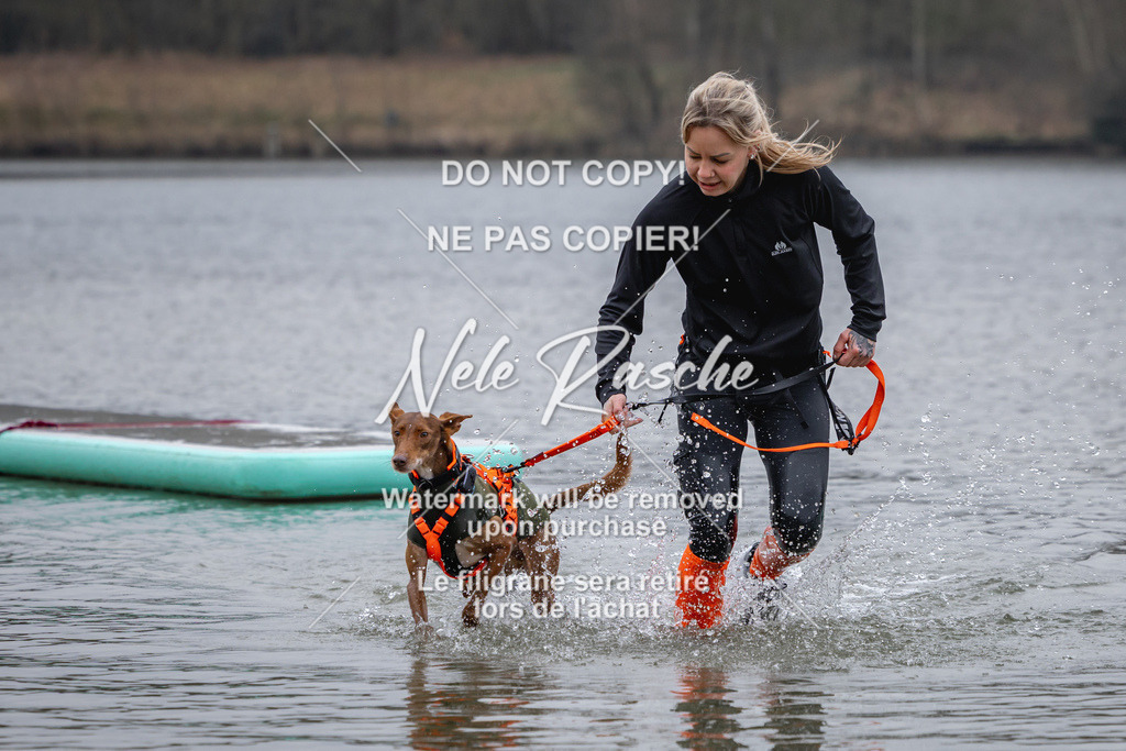 nelerasche_Hulsbeek_Sa1600-1700_68 | nelerasche