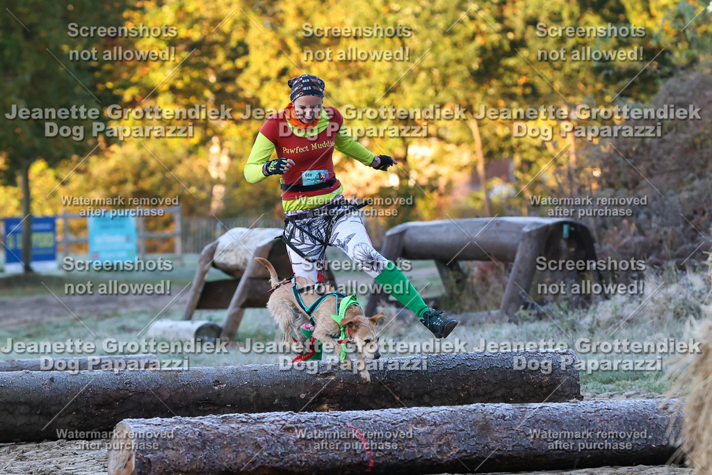 Dog Paparazzi - Strongdog 10-25-237 | Dog Paparazzi Jeanette Grottendiek Fotografie & Videografie - Realisiert mit Pictrs.com