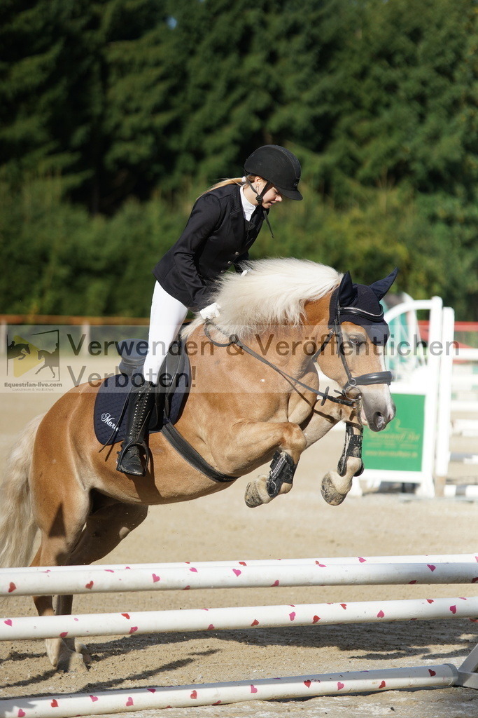 DSC06893 | equestrian-live-com