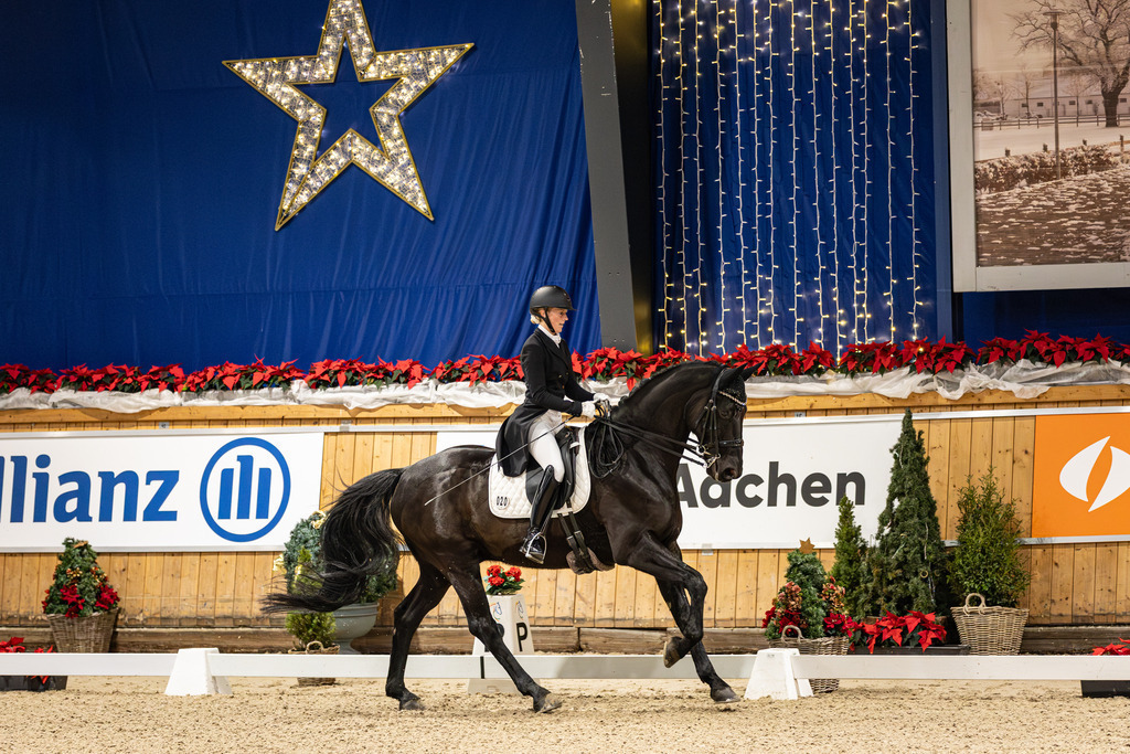 126A2196 | jasminmetznerfotografie