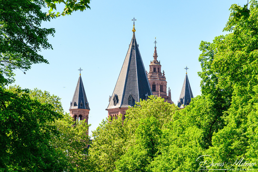 Der Mainzer Dom St Martin | Der hohe Dom St Martin zu Mainz