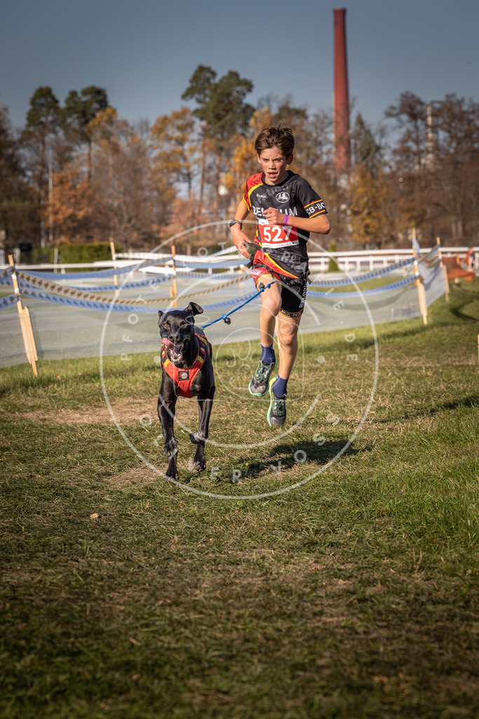 CaniXpix_0L8A7241 | Hundefotografie, Tierfotograf, Pfotenfotografie, Fotoshooting Hund, Hunde Portrait, Hundesport, Hundeportraits, Heideshooting, Hunde, Sportfotograf, Hundefotograf, Turnierhundsport, THS,  - Realisiert mit Pictrs.com