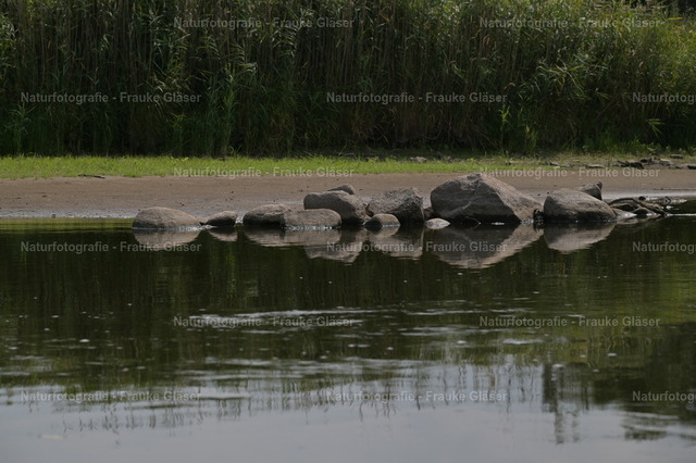 F.Gläser_1056 | Naturfotografie Frauke Gläser - Realisiert mit Pictrs.com