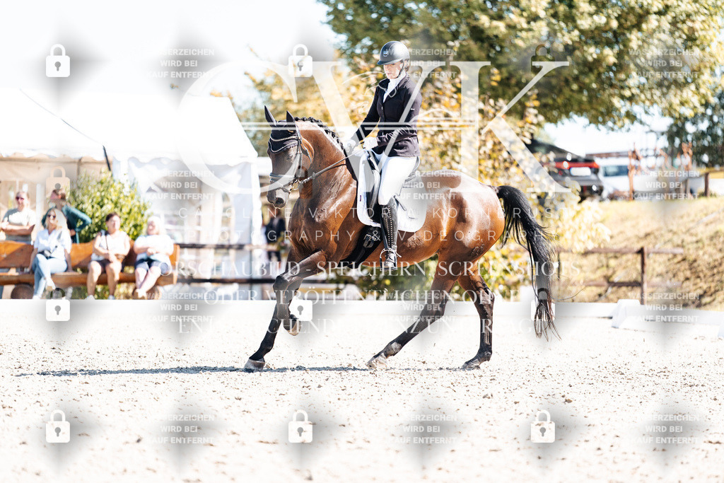 CK909759 | Turnierfotografie Pferdefotografie Trier Rheinland-Pfalz Pferdesport Reitsport Tierfotografie Sportfotografie Pferdevideo Pferdevideografie Equestrianvideography equestrianphotography  - Realisiert mit Pictrs.com