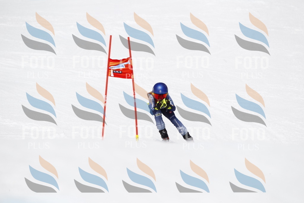 _U3G7864 | holidayphoto