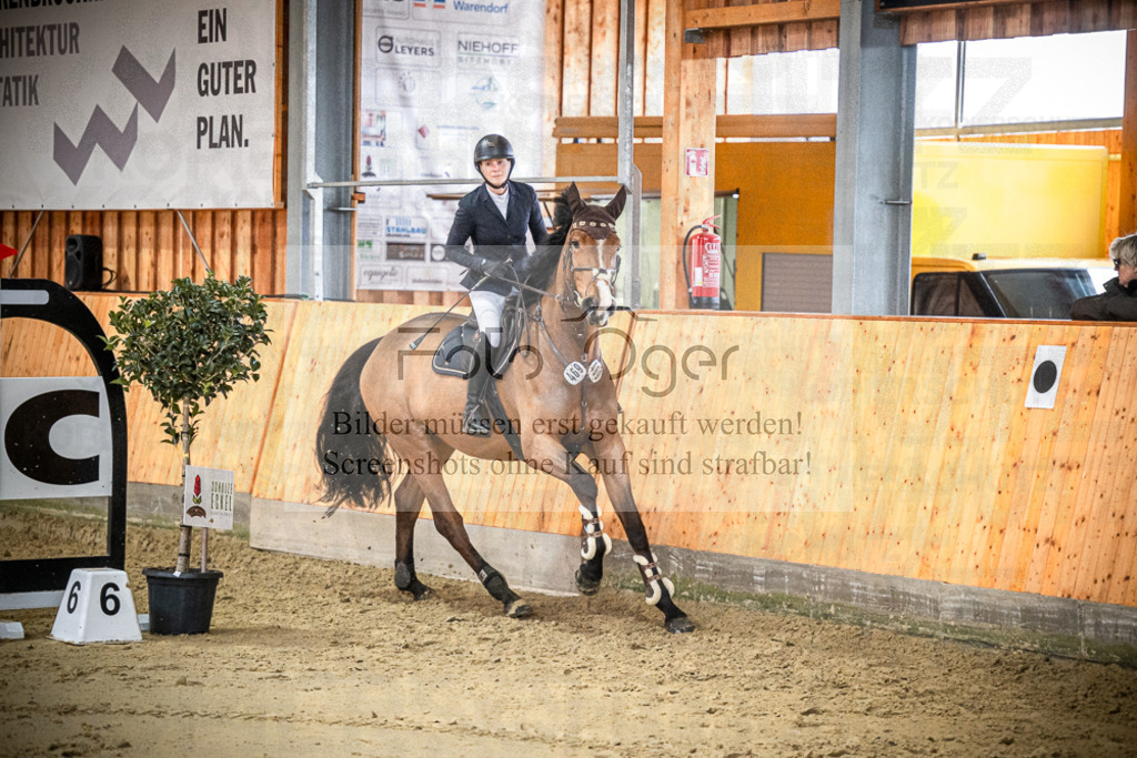 DOS_0553 | Entdecke hochwertige Reitturnierfotos von Foto Oger. Professionell, emotional und authentisch – jetzt Lieblingsmomente im Shop bestellen.Deutschlandweite Turnierfotografie. - Realisiert mit Pictrs.com
