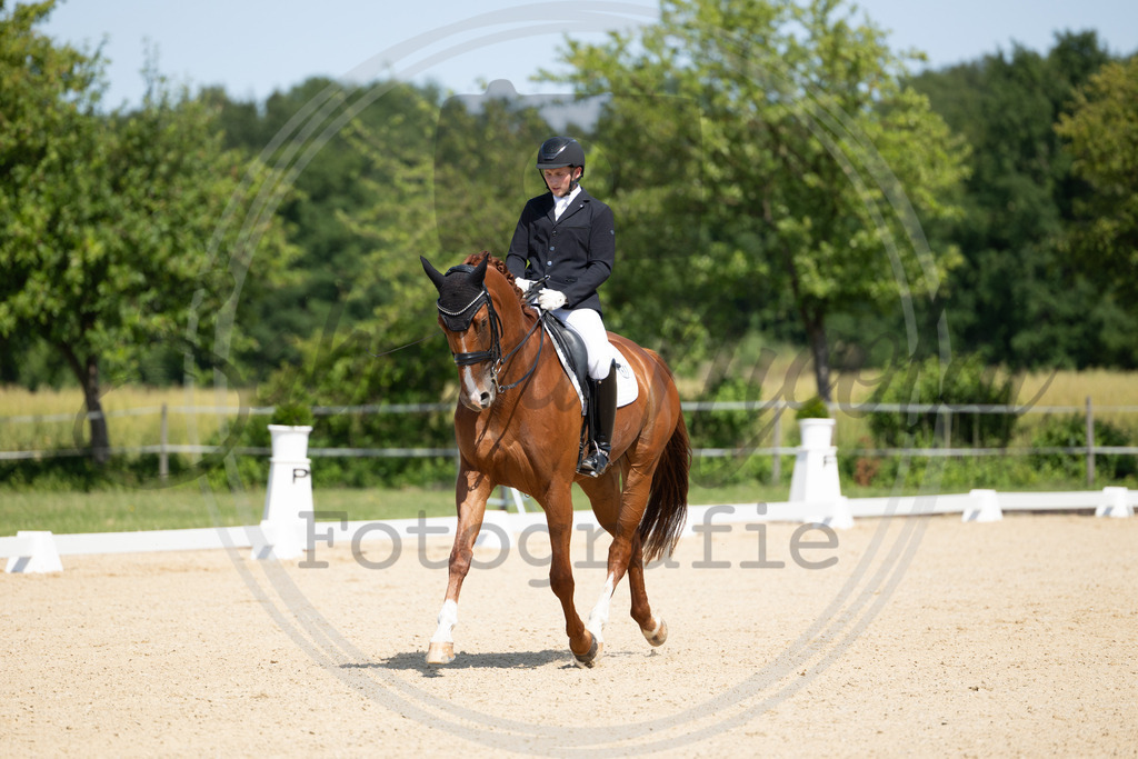 994A2868 | sabrinanicolaifotografie - Realisiert mit Pictrs.com