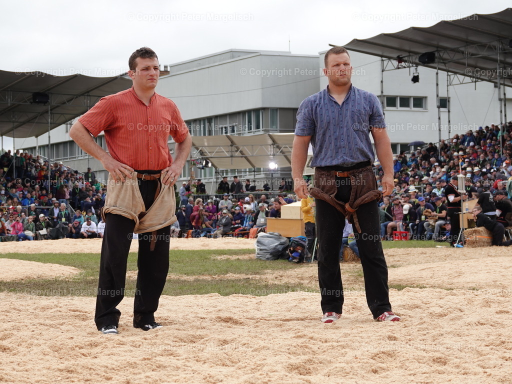 DSC08048 | Schwingen - Realisiert mit Pictrs.com