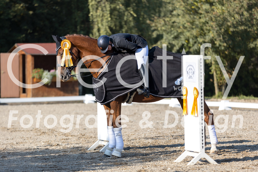 IMG_1119 | Creatify Fotografie