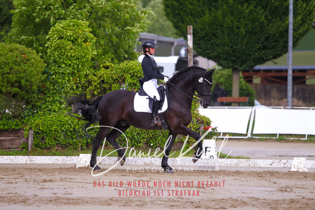 DKP40824 | Turniersportfotografie; Pferdefotografie; Dressurfotografie