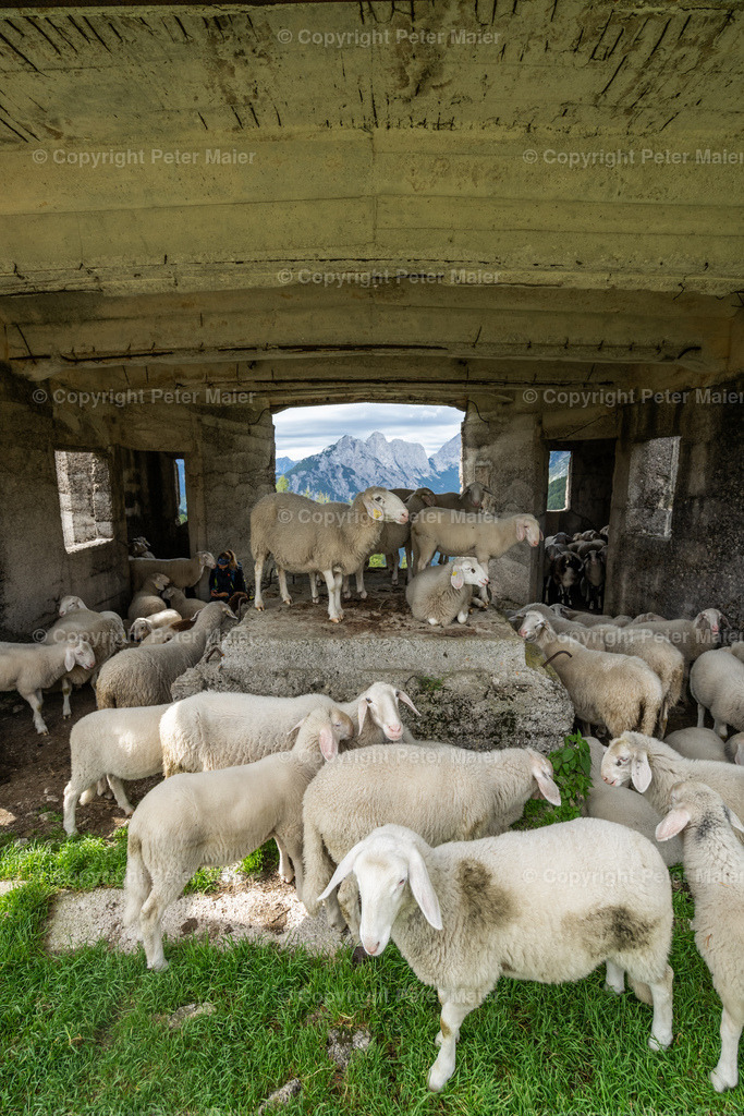 Prisank_Via_Ferrata-28 | piet_flosse