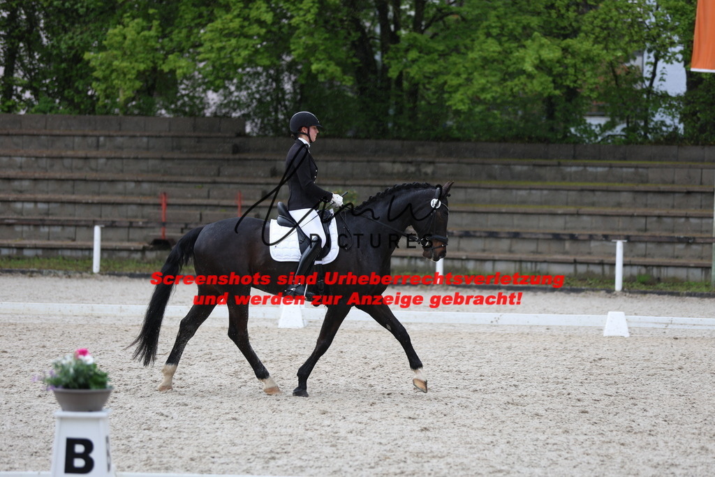 A40A9802 | lmwpictures - Realisiert mit Pictrs.com