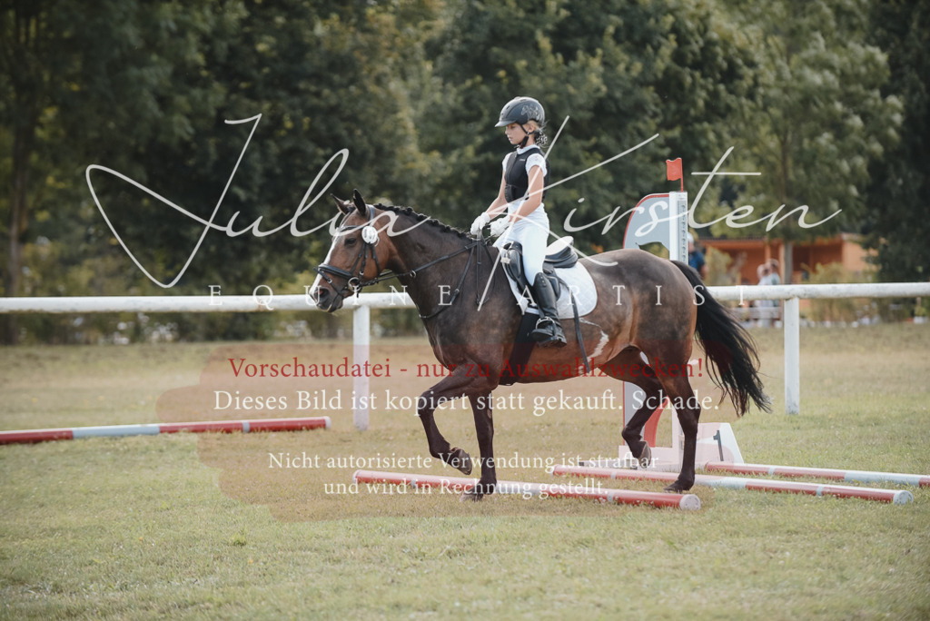 DSC_5270 | Pferde- und Turnierfotografie in Westsachsen. Pferdeportraits, Auftragszeichnungen und intuitive Kunst.