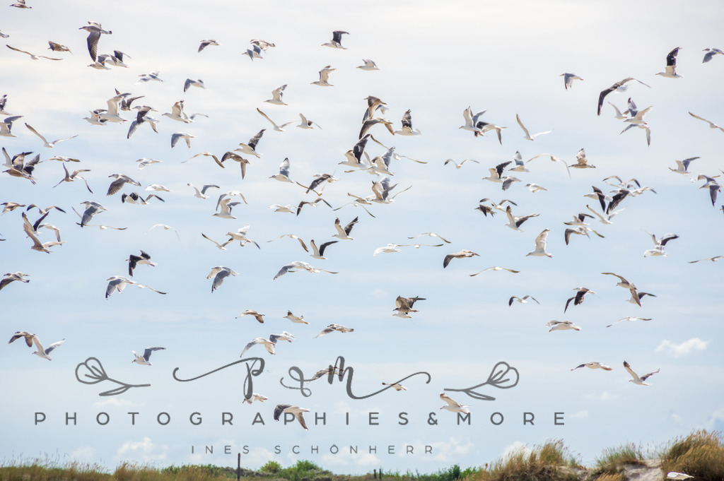 _Grenen22-1829 | Photographies and more - Realisiert mit Pictrs.com