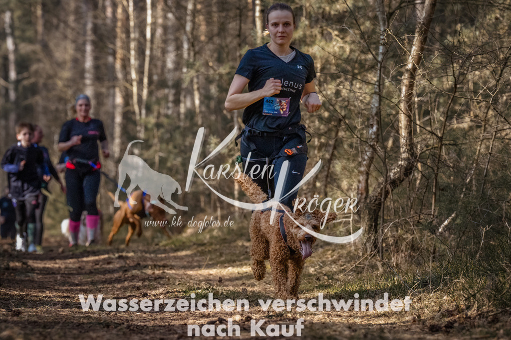 1218_ZZ93166-Bearbeitet | kk-dogfotos