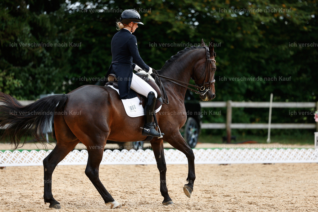 11-066-Dressur S___-StoibPH-1254 | working equitationturnier fotograf videograf stoibphotography marixx film working equitation deutschland reitsport turnierfotografie eventfotografie equestrian events