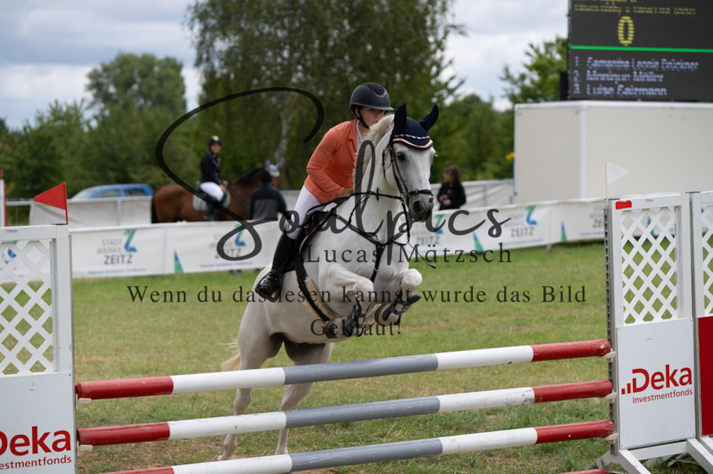 A7V05596 | Pferdefotograf