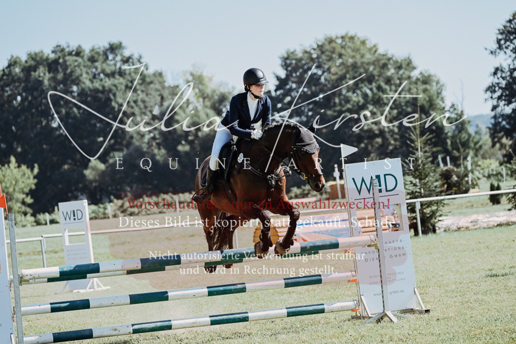 DSC_5865 | Pferde- und Turnierfotografie in Westsachsen. Pferdeportraits, Auftragszeichnungen und intuitive Kunst.