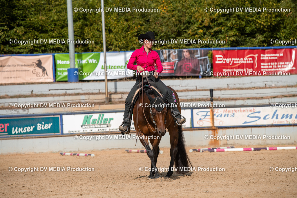 EWP_5795 | dv-media-shop - Realisiert mit Pictrs.com