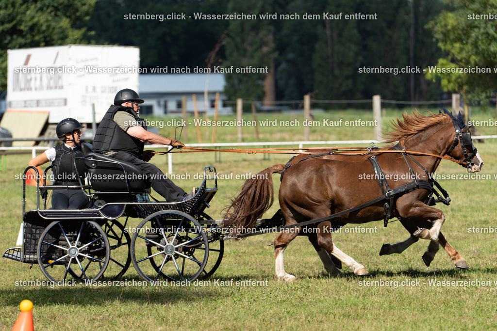 2026-08-29_14-13-44_sternberg.click_WBO-Diera | sternberg.click - Realisiert mit Pictrs.com