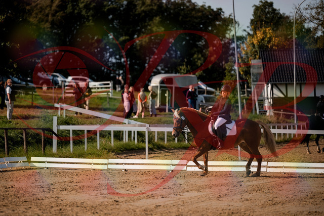 2026_10_03_Siefer-Hof_120145_Z63_34395695 | Professionelle Reitsport-, Turnier- und Eventfotografie von Robert Broda. Galerien mit ausgewählten und bearbeiteten Bildern direkt online ansehen und bestellen.