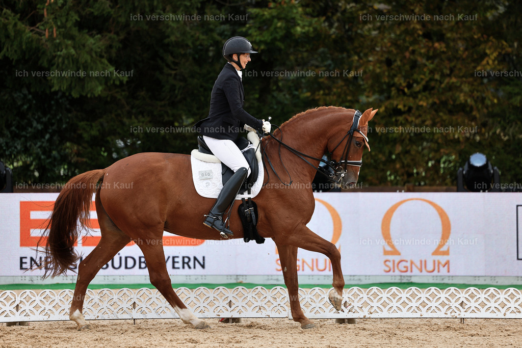 05-060-DRESSUR M_  -StoibPH-4923 | working equitationturnier fotograf videograf stoibphotography marixx film working equitation deutschland reitsport turnierfotografie eventfotografie equestrian events