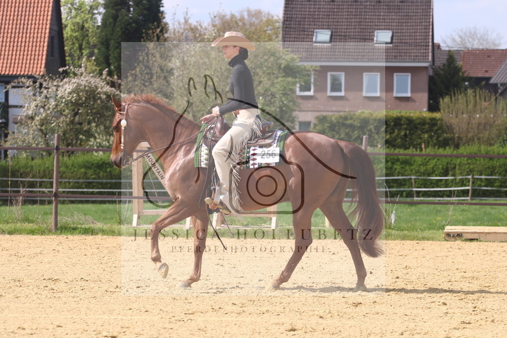 IMG_0704 | jessicahollubetz_pferdephotographie - Realisiert mit Pictrs.com