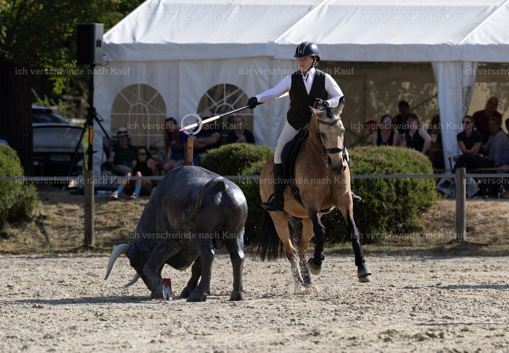WS_SPEED_75_KerstinBernhardt-6 | working equitationturnier fotograf videograf stoibphotography marixx film working equitation deutschland reitsport turnierfotografie eventfotografie equestrian events