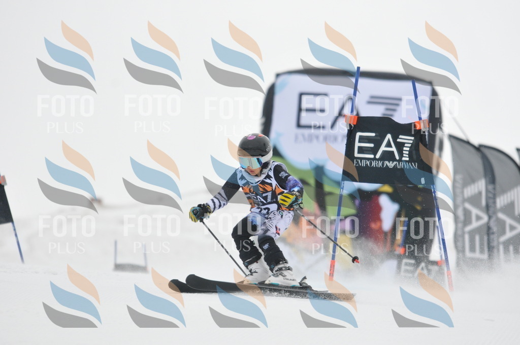 DSC_7473 | holidayphoto