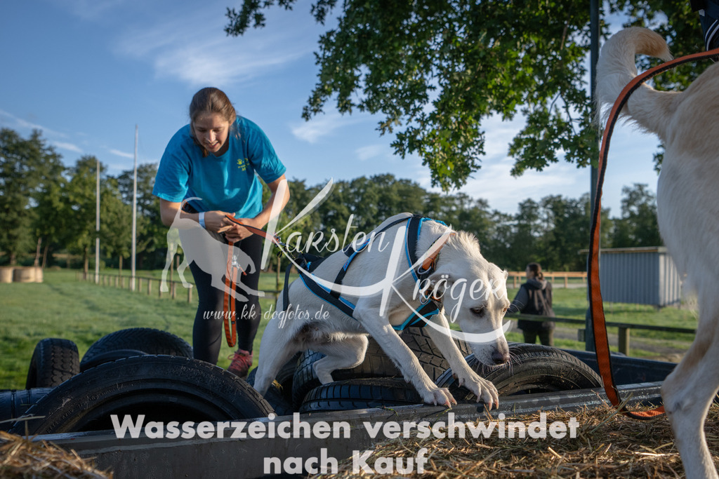 0821_ZZ91092 | kk-dogfotos