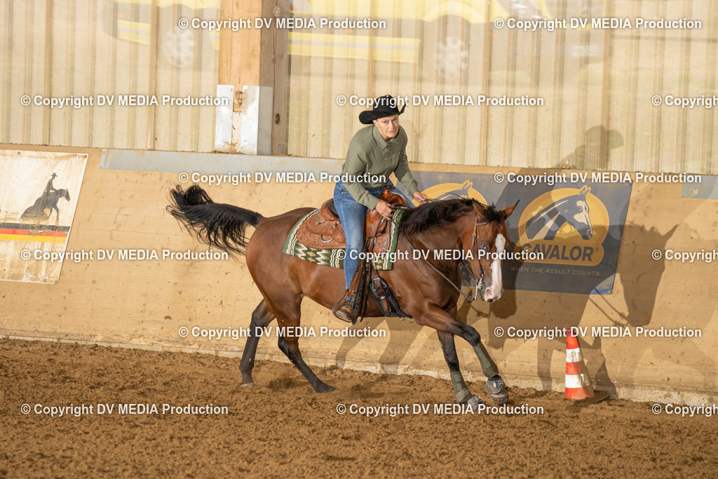 LAU01358 | dv-media-shop - Realisiert mit Pictrs.com